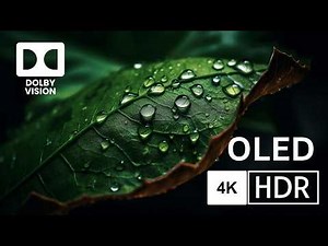 OLED Demo 4K Ultra HD 60fps HDR | Dolby Vision™ | Nature 4K HDR