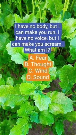 I have no body, but I can make you run. I have no voice, but I can make you scream. What am I?