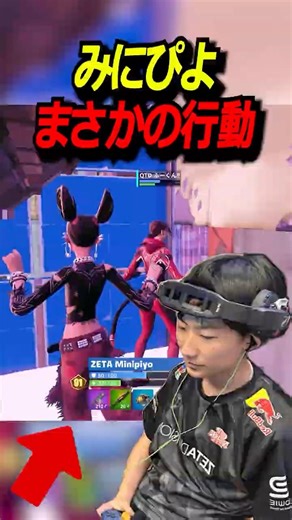 みにぴよ、戦闘中に暴走