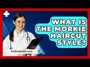 What Is The Morkie Haircut Style? - PetGuide360.com