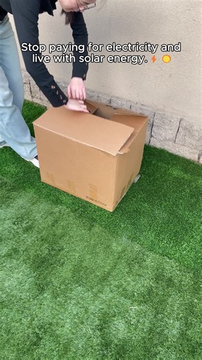 Transform Your Garden with Solar Lighting Solutions