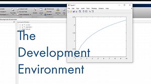 Working in The Development Environment