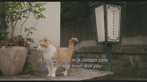 Cafe Funiculi Funicula