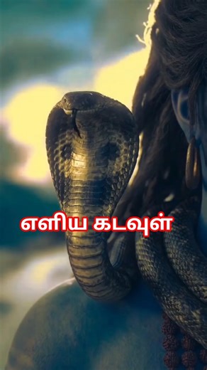 உலகின் எளிய கடவுள் 🔱🕉️🙏🏻 | Om namah shivaya | #sivan_whatsapp_status_tamil #sivaya
