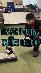 1.7K views · 128 reactions | Does your dog struggle with impulse...