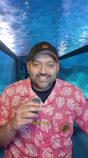 The Animal Crossing Aquarium Is Expanding Globally!