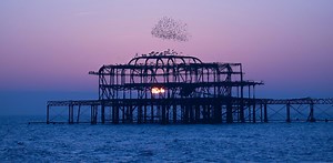 Wild Isles: starling murmuration in BBC documentary reveals as much about people as it does about birds