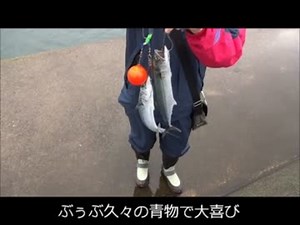 佐渡島に釣りしに行ってきたよ。前編