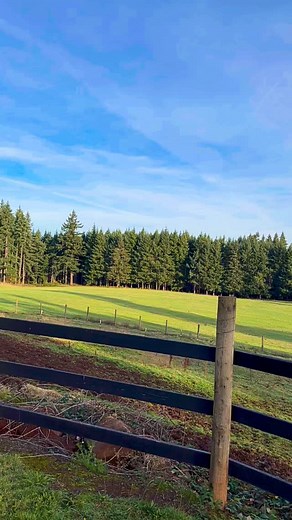 15 reactions | Sunny Fall Mornings 李☀️癩 | B&B Meadows Ranch | Facebook