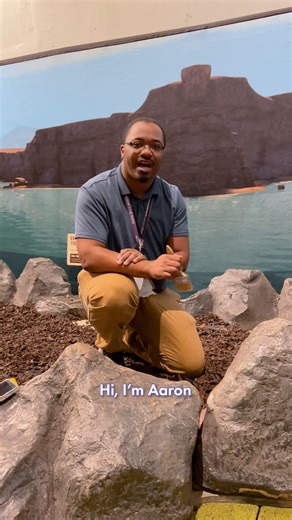 Today is #NationalFossilDay! In Dinosaur Train: The Traveling Exhibit, visitors can hunt for fossils, make clay imprints to examine dinosaur footprints, and more. 🦕⁠ Take a look at the exhibit’s Dig Pit with PTM Group Sales Manager Aaron, who is also an educator and paleontologist. ⁠ Dinosaur Train: The Traveling Exhibit is on view at the Museum through December 31! To reserve your tickets, visit https://www.pleasetouchmuseum.org/learn/exhibits/all/dinosaur-train/ | Please Touch Museum