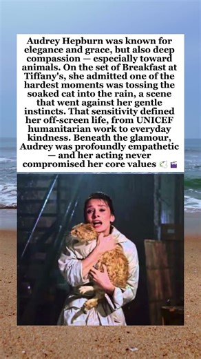Audrey Hepburn's Kind Heart Why Tossing That Cat in 'Breakfast at Tiffany's' Broke Her#AudreyHepburn