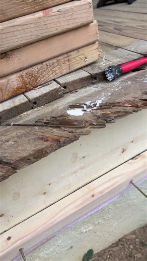 Termite damage: Pounding in a new sill plate.