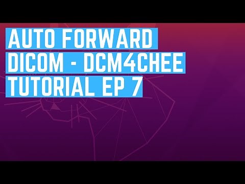 How to Auto-Forward DICOM Studies from dcm4chee to Orthanc | Step-by-Step Exporter Setup