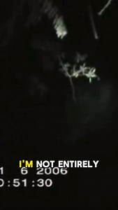 Some are saying the rake might actually be real, this could be evidence of it. #scary #creepy #scared #omg #omgpage #clips #insane | Andrew Smith