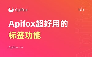如何使用Apifox标签功能
