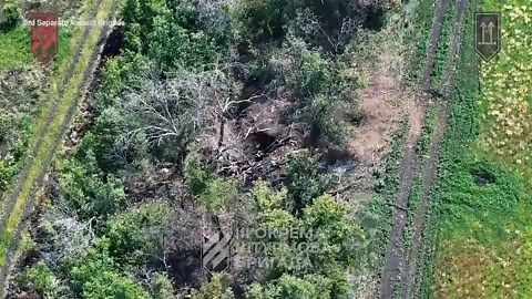 Ukrainian killer robots force Russian soldiers to 'surrender'