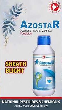 AZOSTAR - Azoxystrobin 23% SC (Fungicide)