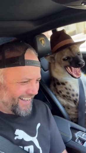 My new rescue dog can’t handle my dad jokes