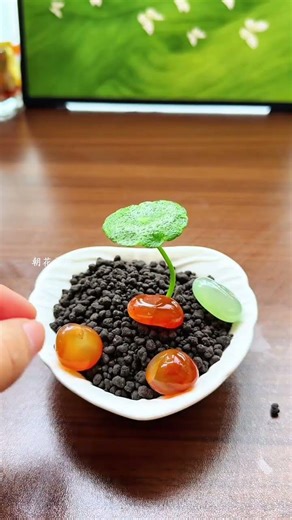 Make a simple mini bonsai with aquatic plant soil, pennywort, and pebbles. It's refreshing, pleasing