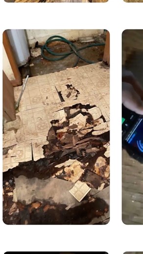 Water Mitigation and Subfloor Remediation