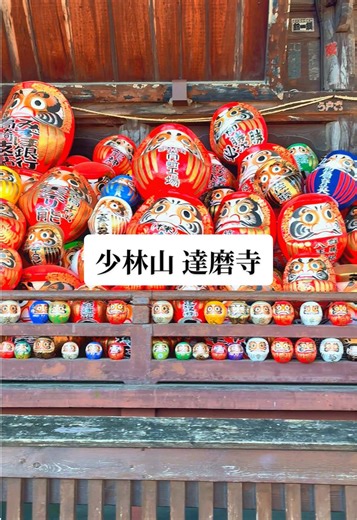 【少林山 達磨寺】 高崎だるま発祥のお寺ということもありたくさんのダルマが並んでいました！ #少林山達磨寺 #高崎 #群馬#群馬観光