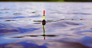 Les poissons d'eau douce