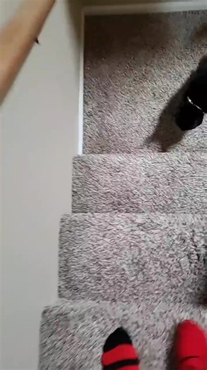 Fix Squeaky Stairs: DIY Solutions for a Quiet Home