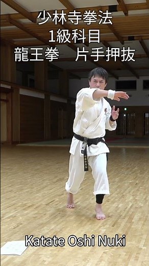 #片手押抜 #龍王拳 #少林寺拳法 #1級科目 #単独演武