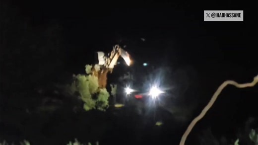 Israeli settlers, alongside Israeli forces, uprooted more than 400 olive trees since this morning in the village of Turmus Ayya in the West Bank.The uprooting is still ongoing as of 4 a.m. local time in Palestine.