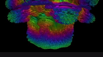 红米k60毒蘑菇存活（有网址）