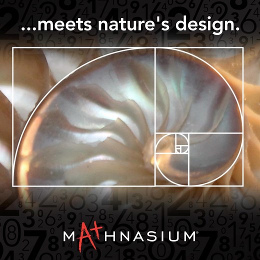 Happy Fibonacci Day! 🎬 In this video, we share the beauty of the Fibonacci sequence. It’s not just numbers — it’s the pattern behind spirals, pinecones, sunflowers, and even galaxies. 🌻 Want to explore more? Check out this blog for a fun breakdown of this famous pattern: 🔗 bit.ly/3Xbgvwc #Mathnasium #FibonacciDay #Fibonacci #GoldenRatio | Mathnasium of Merced