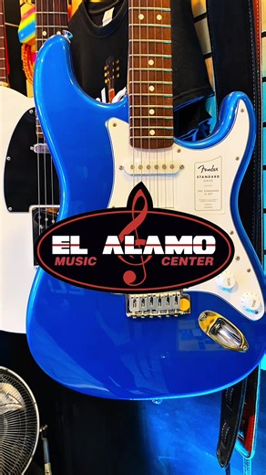 Encuentra tu estilo, en un solo lugar. Fender 👌 #guitarra #bajo #musicos #elalamoinstrumentosmusicales