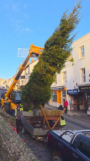 Christmas is coming! The tree was lifted into place today in preparation for the 22nd November switch on. The wonderful tree is donated by Penn Farm Christmas Trees Charmouth. The Christmas lights team were assisted by Lyme Regis Deputy Harbour Master Sam Harding who helped manoeuvre the tree in place with the JCB. Thanks to Bell Cliff Restaurant for the refreshments! Please support Lyme Regis Christmas Lights Grand Raffle 2025 and be in with the chance of winning a fabulous prize. Get your tick