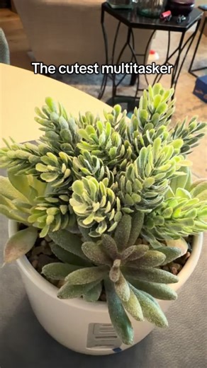 iHome Faux Succulent Charging Station — the perfect blend of home décor and daily convenience. This stylish charging dock looks like a modern mini plant arrangement but works like a fast, smart power hub. It’s the clutter-free, aesthetic way to charge your phone, smartwatch, and more — all while adding a calming, earthy vibe to your desk, nightstand, or entryway. Designed for people who want their tech to look intentional and elevated, this faux succulent charging station keeps cords organized, 