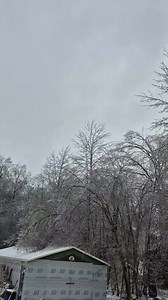 It's a icy mess here in WV, hope everyone is staying warm and safe during this storm! #fyp #wvmountains #icy | Mountaineer Basset Hounds