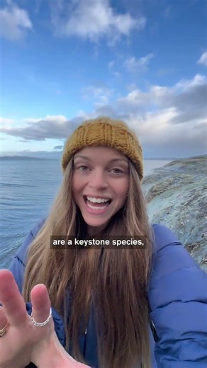 How Sea Otters Saved Entire Ecosystems