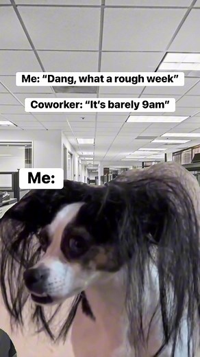 390K views · 4.6K reactions | Send help #work #workhumor #workplacehumor #workmemes #workmeme | gnarlyoodles | Facebook