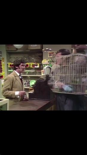 #montypython