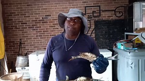 Decatur's Crabs on Reels