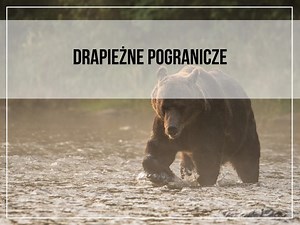 DRAPIEŻNE POGRANICZE
