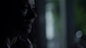 1M views · 204 shares | Family does what they have to do. It's in their blood. | Bloodline | Facebook