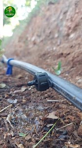 148K views · 1K reactions | Drip System Setup for Home Garden #gardening #plants #waterirrigation | Trending Vivasaayi | Facebook