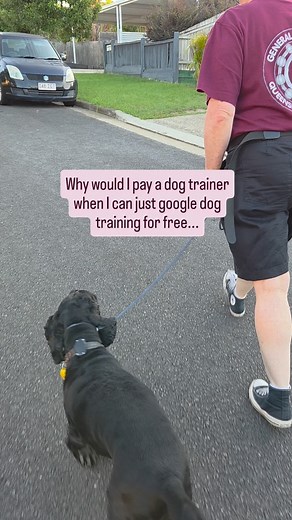 “Why would I pay a dog trainer when I can just use Google for free?” Totally fair question. There’s endless advice online and plenty of it sounds great. But here’s what most people miss… Google gives you information. It doesn’t give you clarity. Your dog isn’t a YouTube tutorial. They’re an individual with their own personality, genetics, history, and emotions — living in your unique home, with your routines, expectations, and goals. At Top Dog Pawformance, we don’t follow a one-size-fits-all fo