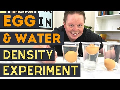 What Makes An Egg Float In Water? | Freshwater VS Saltwater Density | Egg and Saltwater Experiment