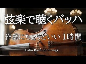 【1時間耐久】バッハ弦楽 | 心を包む静かな名曲集｜作業・読書に寄り添うクラシックBGM | Calm Bach for Strings – 1 Hour