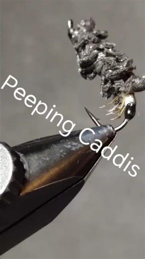 Realistic Cased Caddis #shorts #fishing #flytying #2026 #flyfishing #fyp