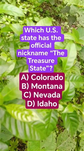 Which U.S. state has the official nickname “The Treasure State”?