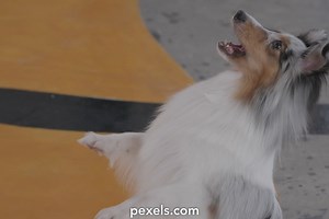 Running Train Videos, Download The BEST Free 4k Stock Video Footage & Running Train HD Video Clips