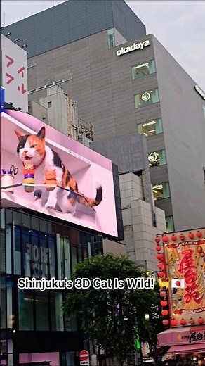Shinjuku's 3D Cat Is Wild! 🐈🇯🇵. ​The World's Coolest Billboard?! Tokyo's 3D Cat 🤯