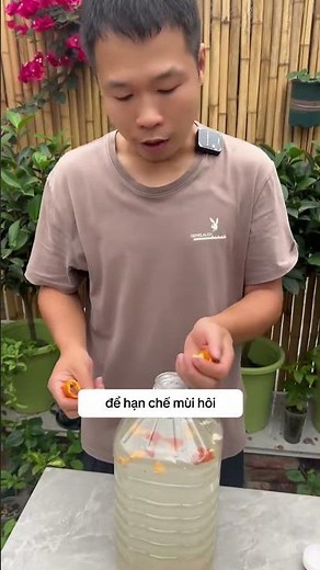 Làm Phân Bón Từ Nước Vo Gạo – Cây Xanh Mướt Thấy Rõ 🌾💧